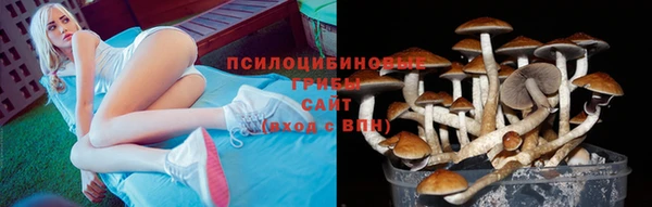 гидропоника Алзамай