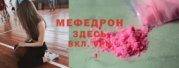 индика Абаза