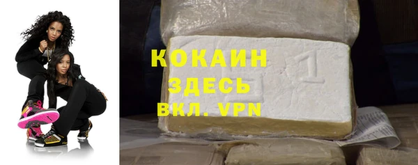 дживик Абинск