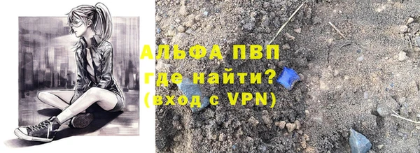 индика Абаза