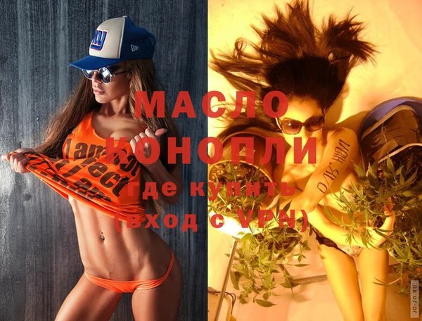 индика Абаза