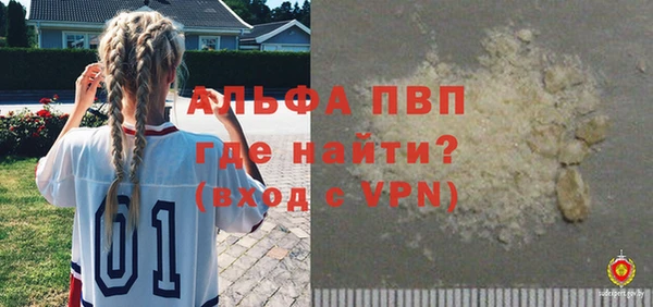 индика Абаза