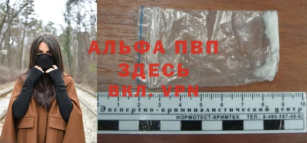 индика Абаза