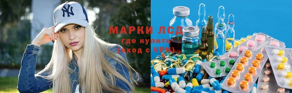индика Абаза