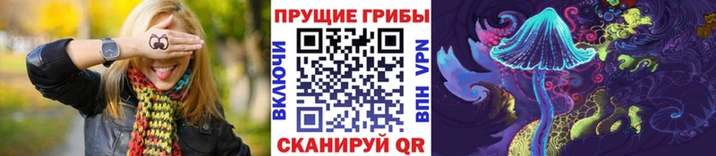 где купить наркоту  Советск  darknet официальный сайт  Псилоцибиновые грибы мухоморы 