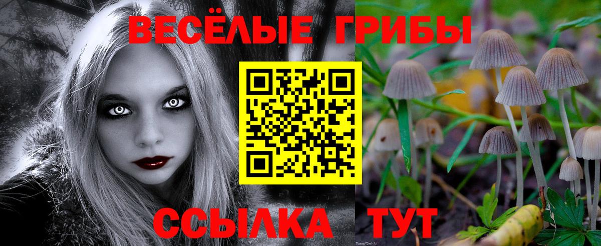 Советск  Псилоцибиновые грибы ЛСД  Вход с VPN 