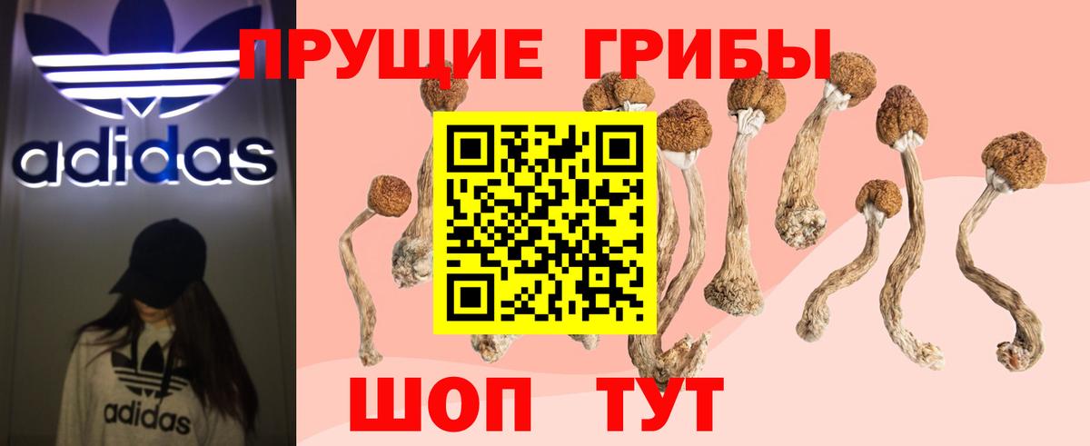 Псилоцибиновые грибы GOLDEN TEACHER Советск